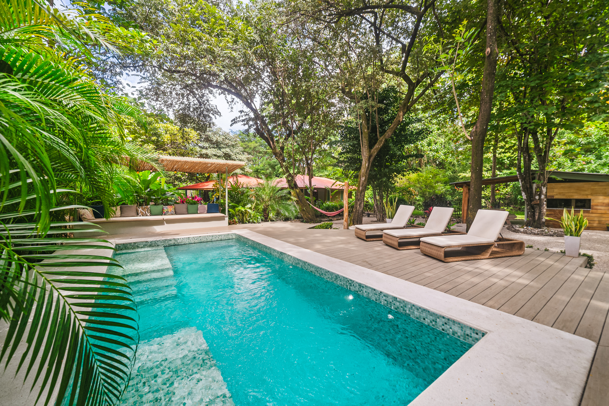 Pool at Vida Verde surrounded by tropical jungle